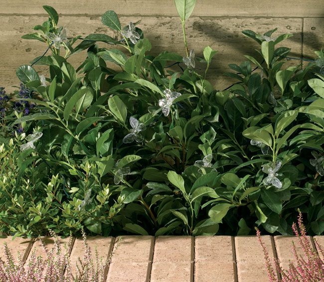 LED Solar-Lichterkette mit 20 Leucht-Schmetterlingen und langsamem Farbwechsel - Sonstiges - Korschenbroich