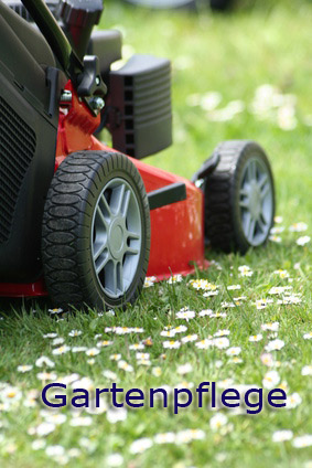 Hausmeister Reinigungsdienste - Sonstiges für den Garten - Freiburg