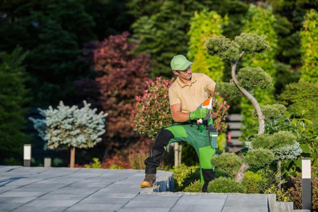 Gartenpflege Wien und Umgebung - Sonstiges für den Garten - Wien, Leopoldstadt