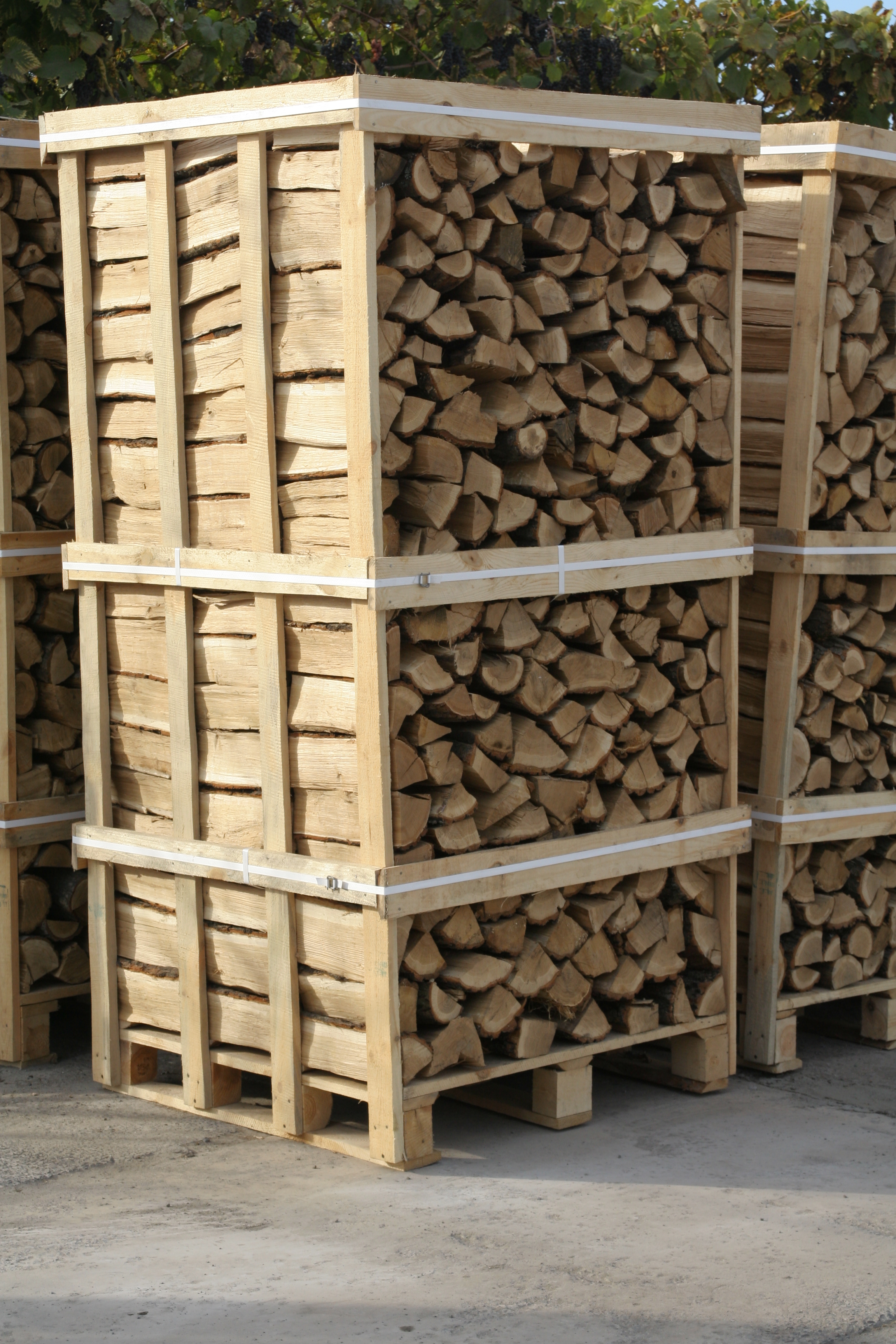 Brennholz aus der Hainbuche  - Holz - Lublin