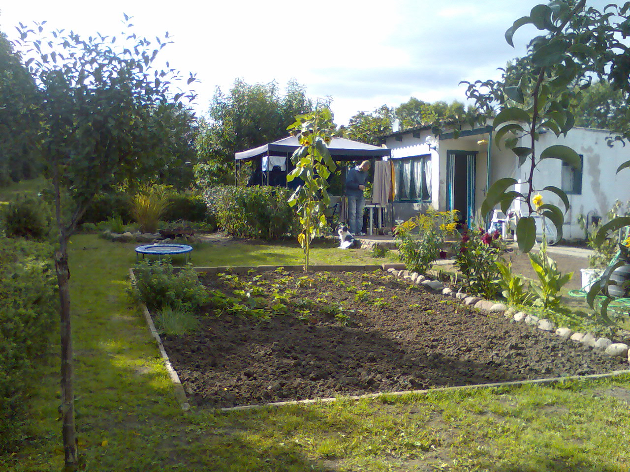 Garten zu verkaufen - Gartengeraet Gartenmoebel - Frankfurt/Oder