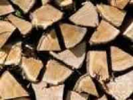 Kaminholz Erle - Holz - Hohenlepte