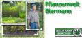 Pflanzenwelt -Biermann - Pflanzen - Tangstedt