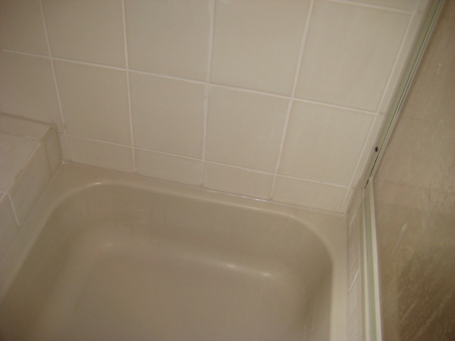 Spezialist für Siliconfugen- Pilzhemmend - Fliesen Keramik Ziegel - Bensheim