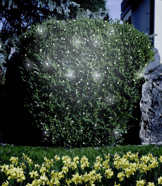 Solar-Lichterkette mit 100 LEDs - Solaranlagen - Korschenbroich