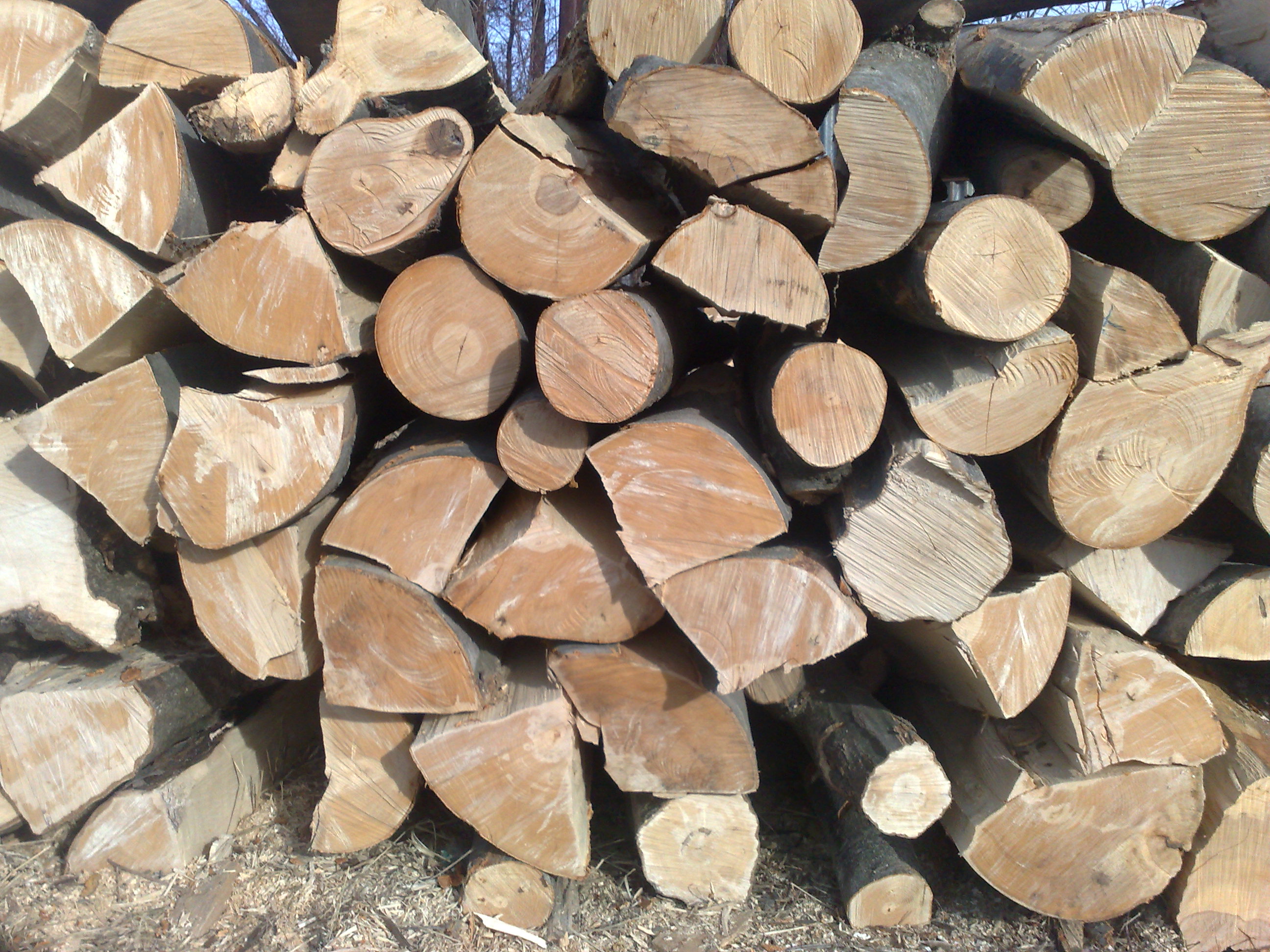 Verkauf von Brennholz - Holz - Bardejov