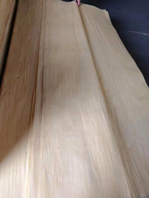 Lieferant für Birkenfurnier - Holz - Essen
